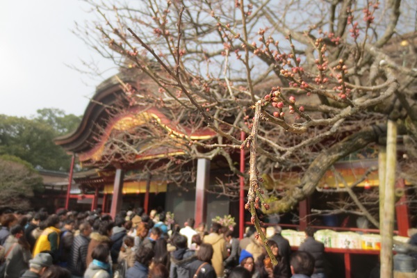 dazaifu tenmangu.JPG