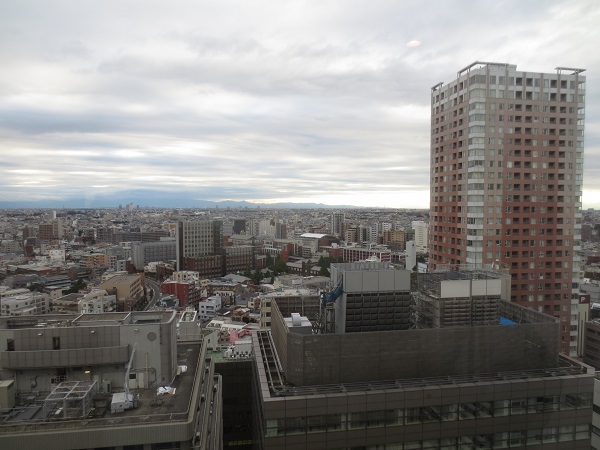 rikkyo from metropolitanhotel.JPG